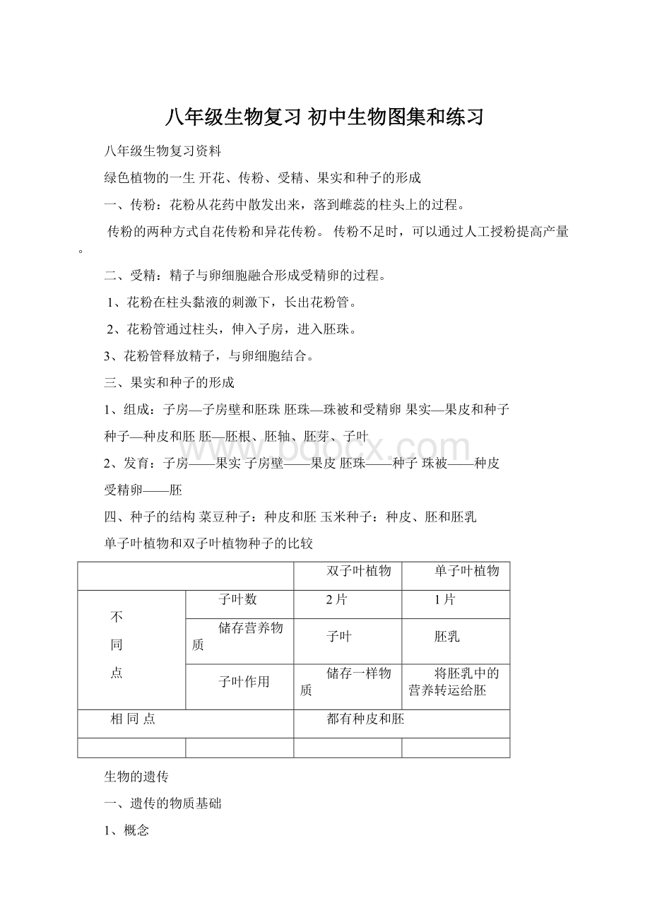 八年级生物复习 初中生物图集和练习Word文件下载.docx