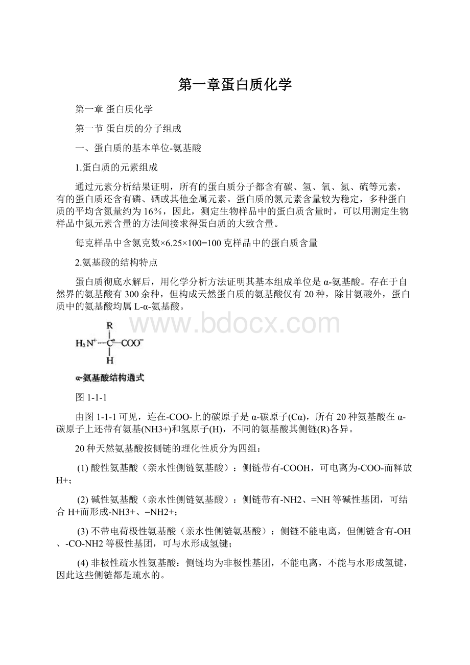 第一章蛋白质化学Word格式文档下载.docx_第1页