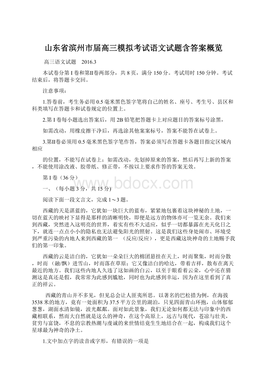 山东省滨州市届高三模拟考试语文试题含答案概览Word格式.docx