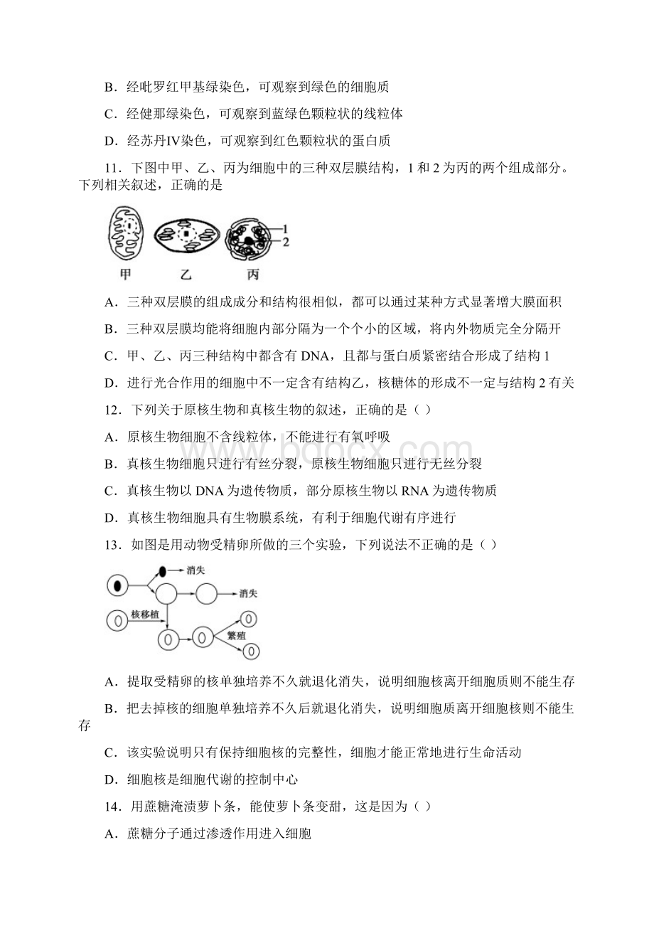 学年高一上学期第二次月考生物试题无答案.docx_第3页