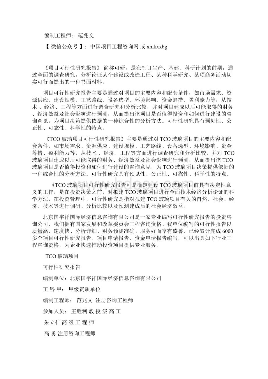 TCO玻璃项目可行性研究报告案例版本.docx_第2页