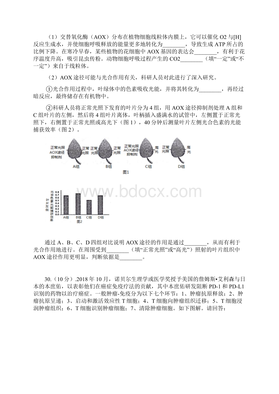 广东广州高考生物冲刺押题广东省广州市高三冲刺题理综生物冲刺题5份汇总.docx_第3页