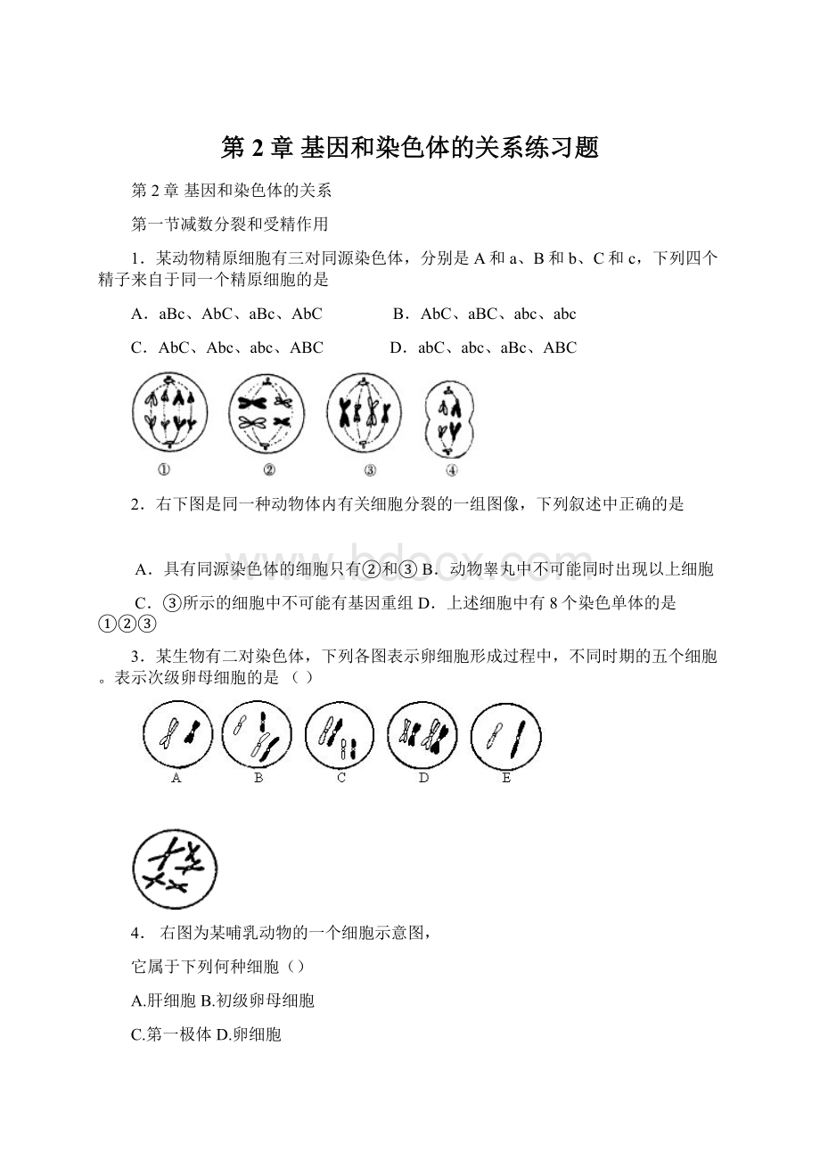 第2章基因和染色体的关系练习题.docx