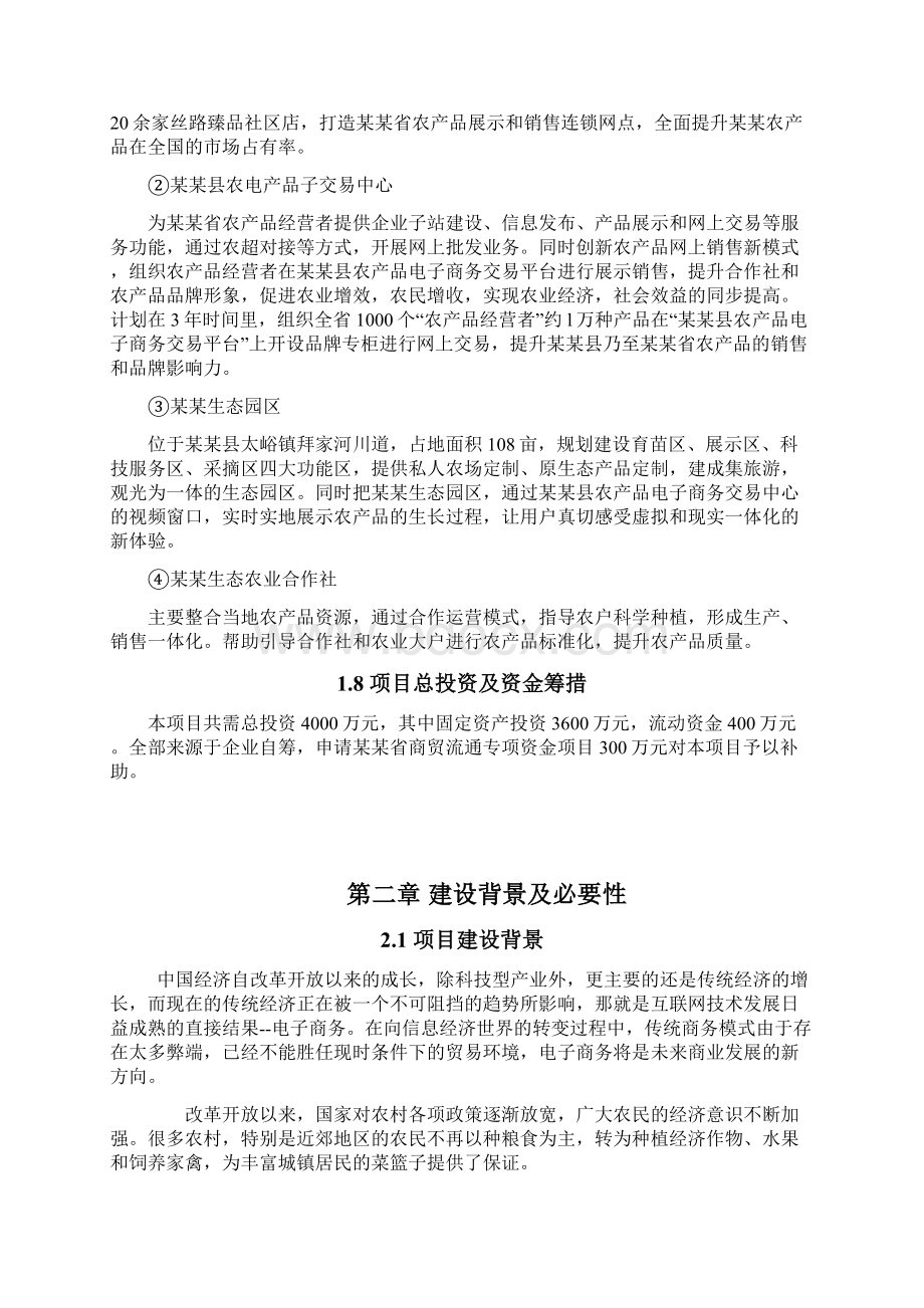 农产品电子商务交易平台项目可行性研究报告.docx_第3页