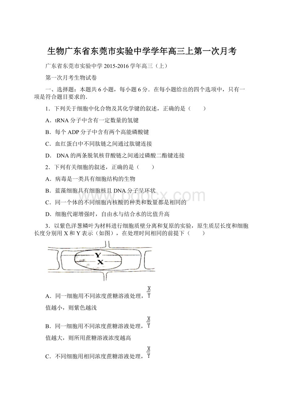 生物广东省东莞市实验中学学年高三上第一次月考Word格式.docx