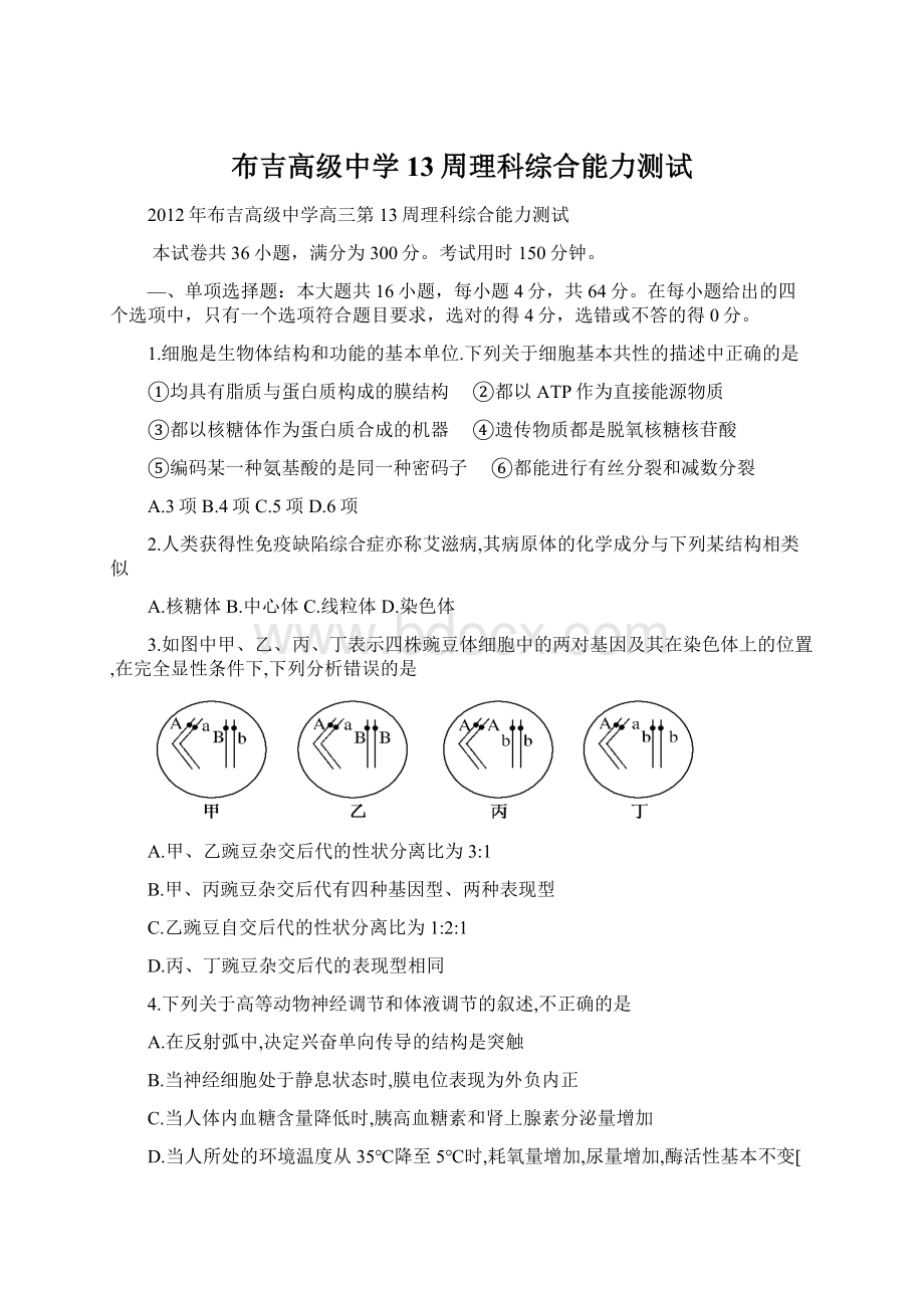 布吉高级中学13周理科综合能力测试.docx