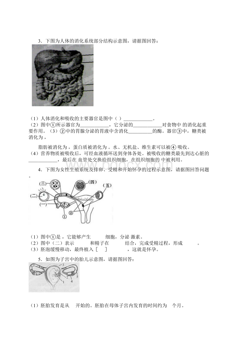 识图专题剖析Word格式.docx_第2页