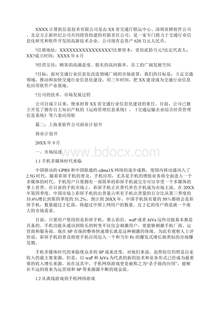 软件行业商业计划书.docx_第2页