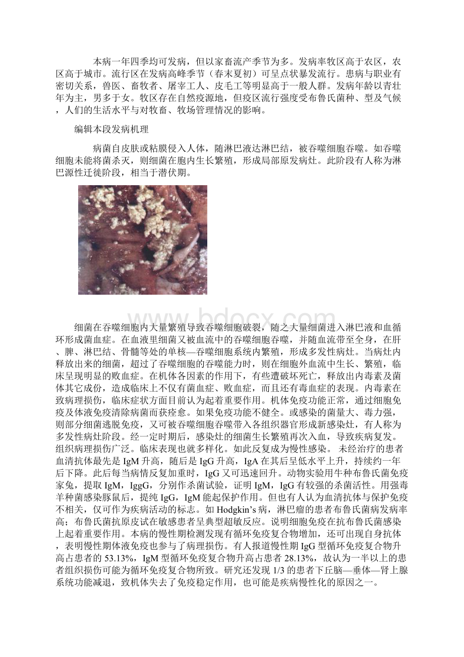 布鲁氏菌病.docx_第3页