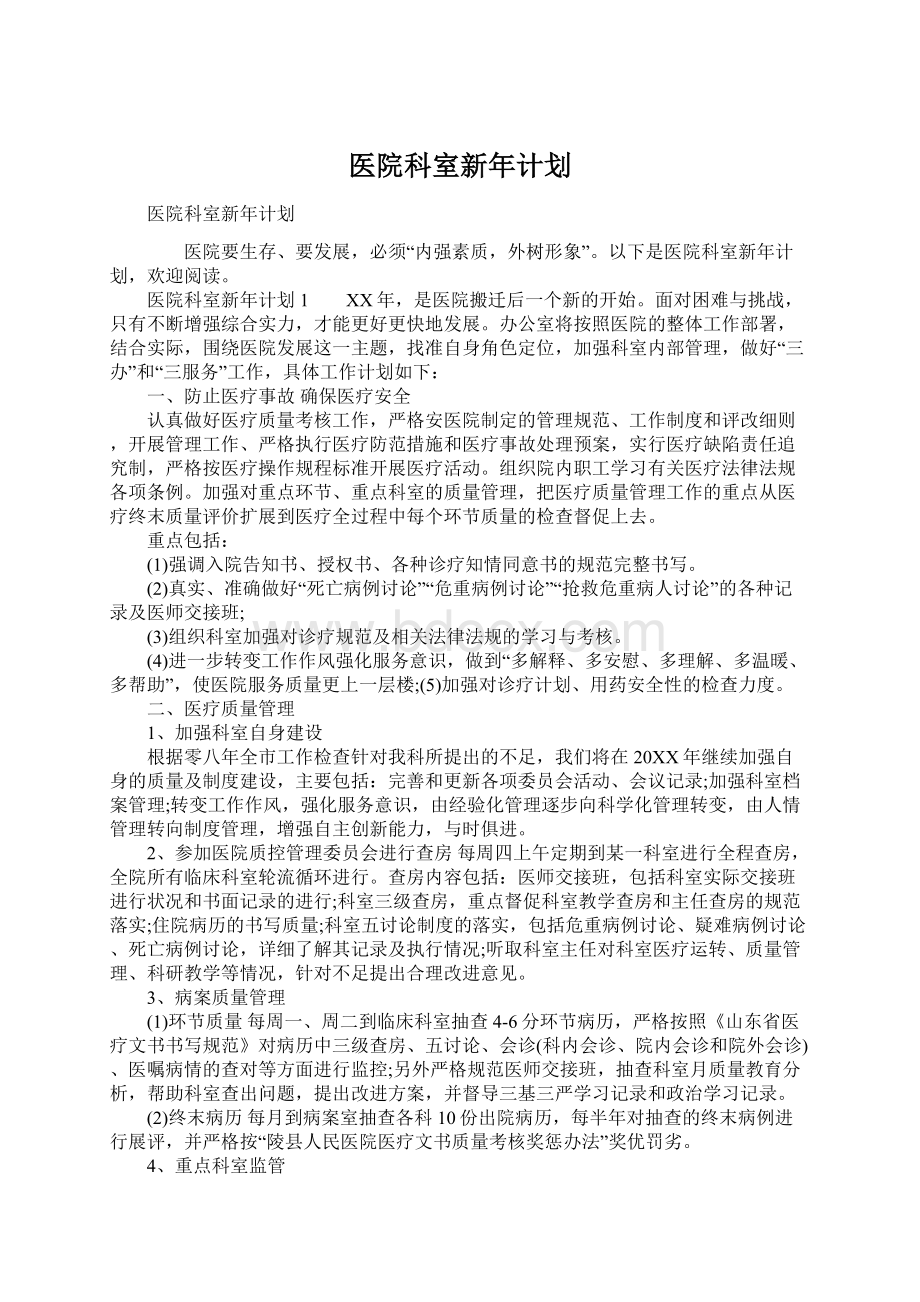 医院科室新年计划Word文档下载推荐.docx_第1页