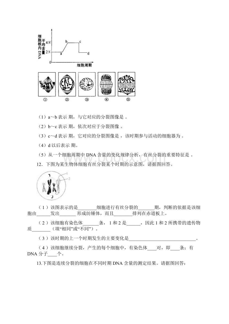 细胞增殖练习题及答案.docx_第3页