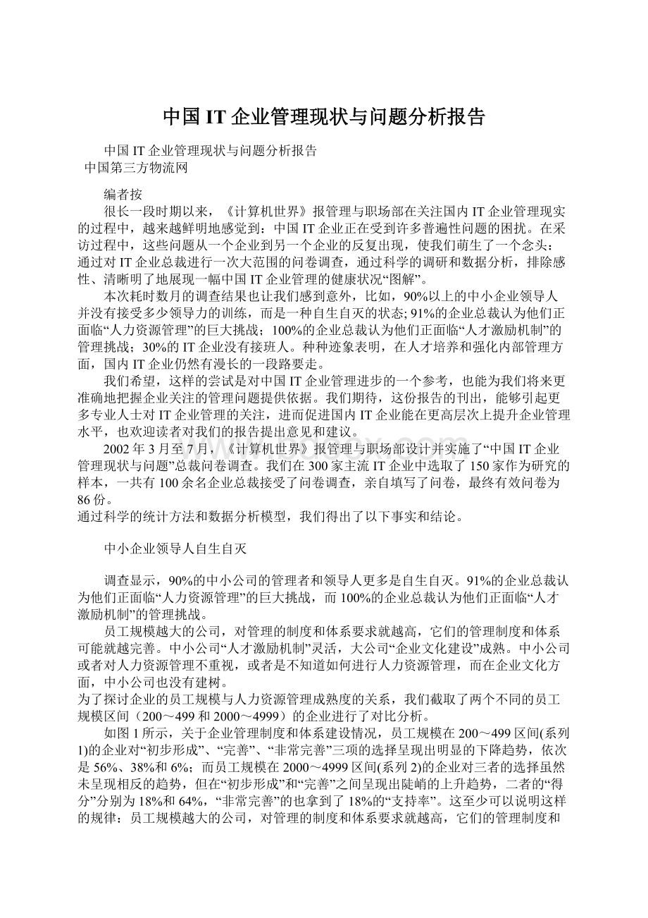 中国IT企业管理现状与问题分析报告Word下载.docx