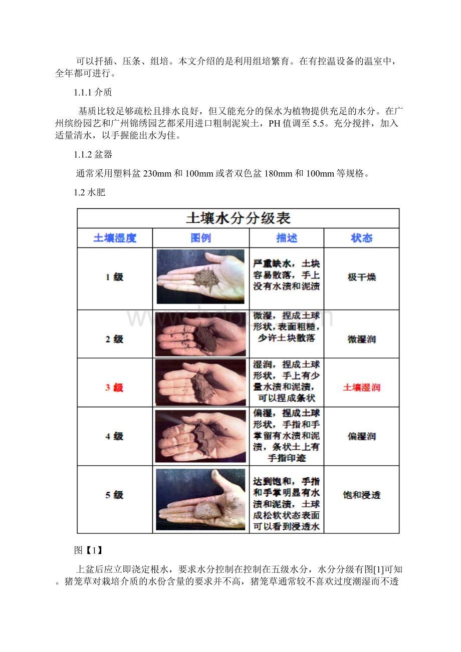 猪笼草文档格式.docx_第3页