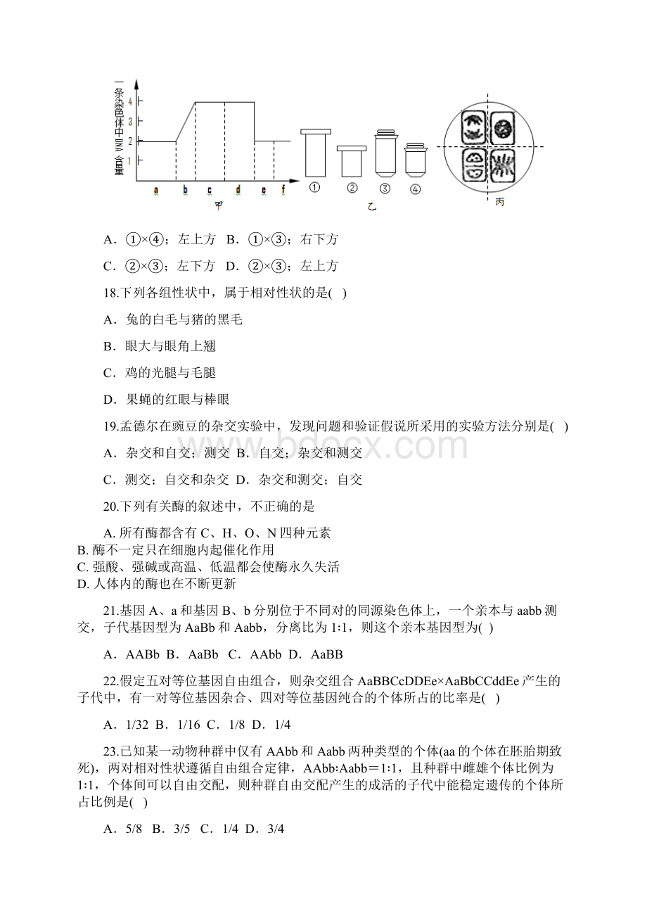 生物福建省安溪八中届高三上学期期中质量检测.docx_第3页