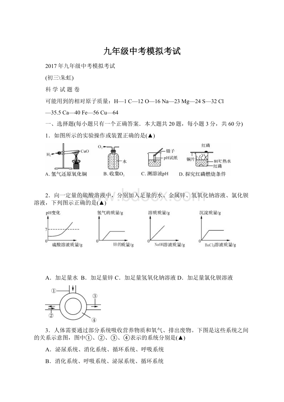 九年级中考模拟考试.docx_第1页