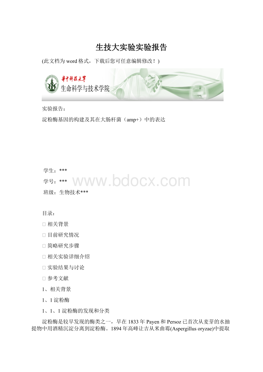 生技大实验实验报告.docx