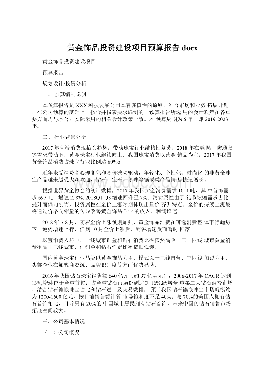 黄金饰品投资建设项目预算报告docx.docx