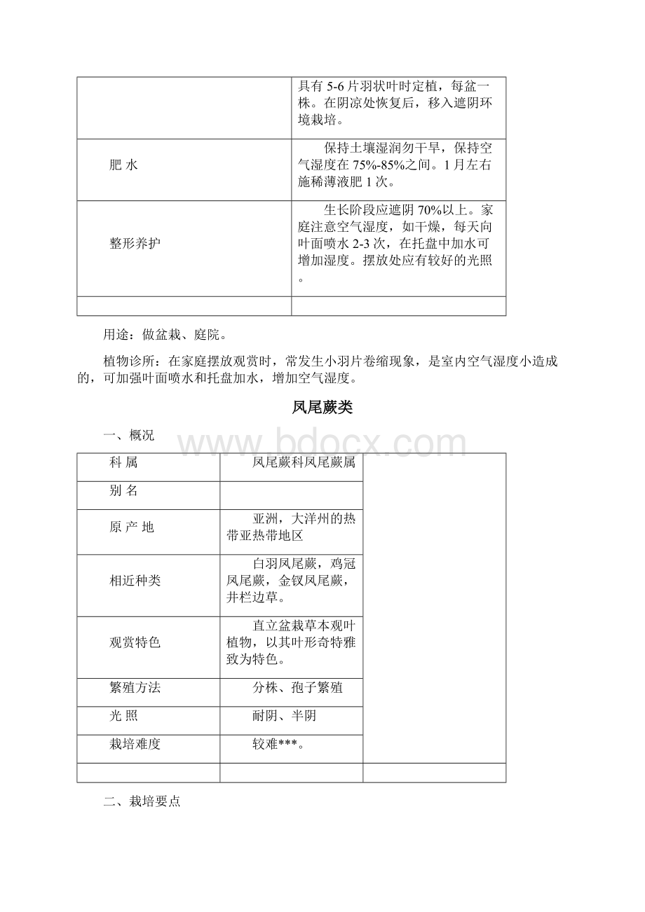 室内观叶植物超全Word文件下载.docx_第3页