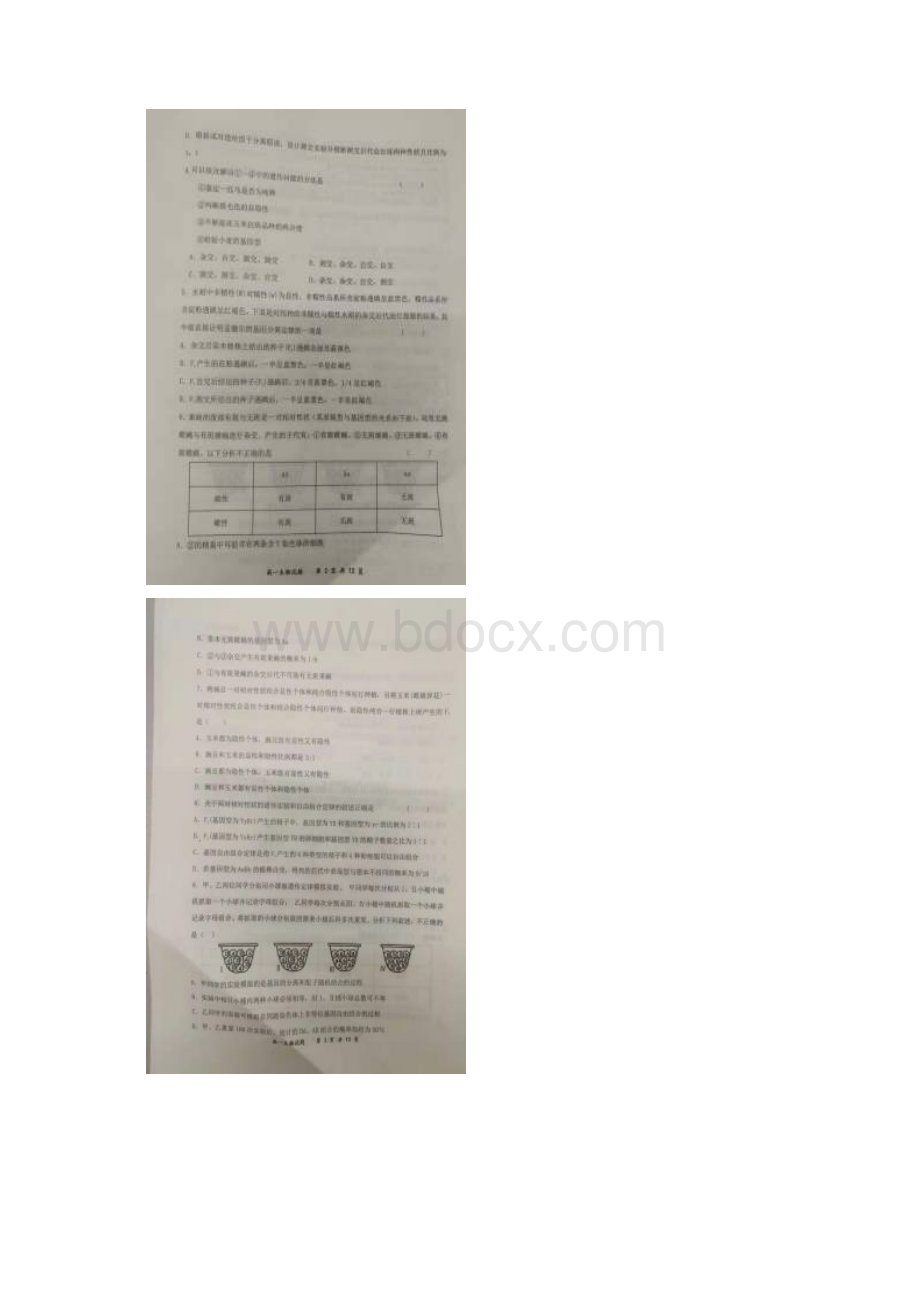 学年河南省八市重点高中联盟高一下学期领军考试生物试题扫描版含答案Word文件下载.docx_第2页