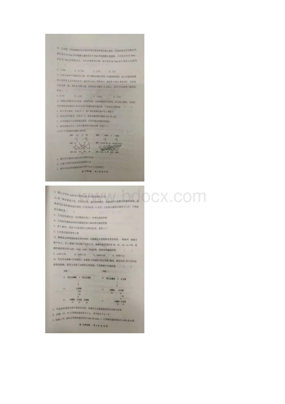 学年河南省八市重点高中联盟高一下学期领军考试生物试题扫描版含答案Word文件下载.docx_第3页