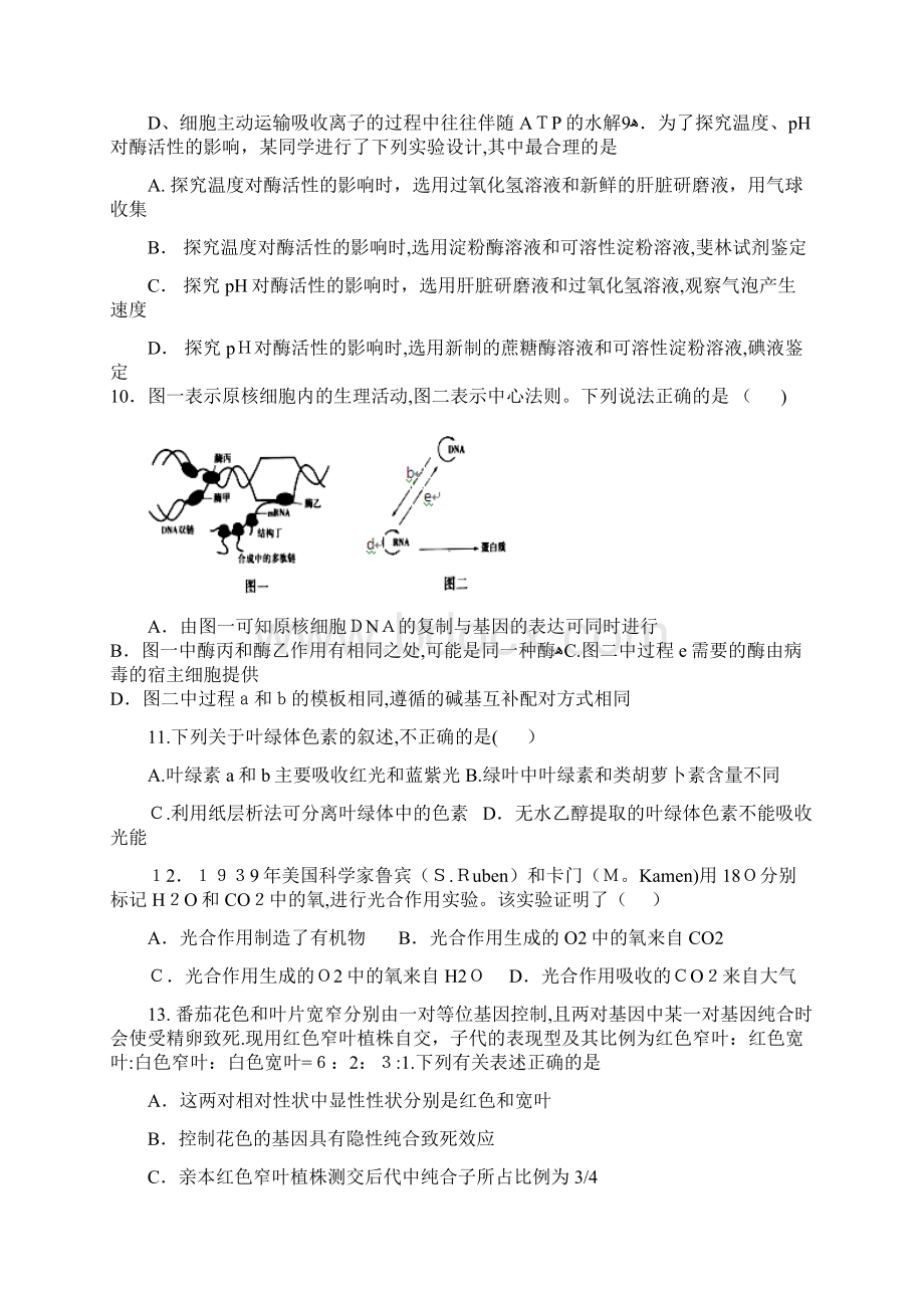 河北省武邑中学最新高三上学期第三次调研考试生物试题.docx_第3页