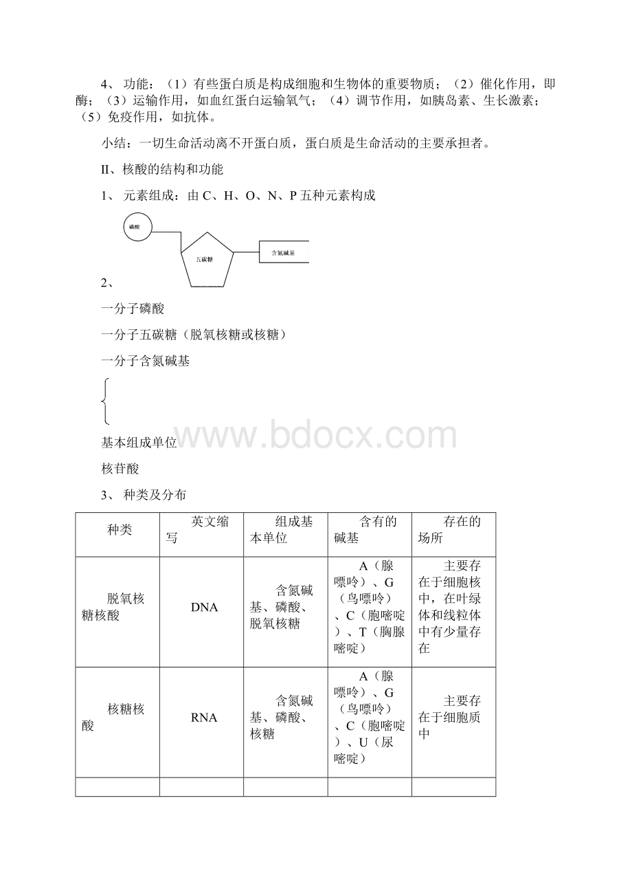 高考生物必修课本重要基础知识点梳理超强Word文件下载.docx_第2页