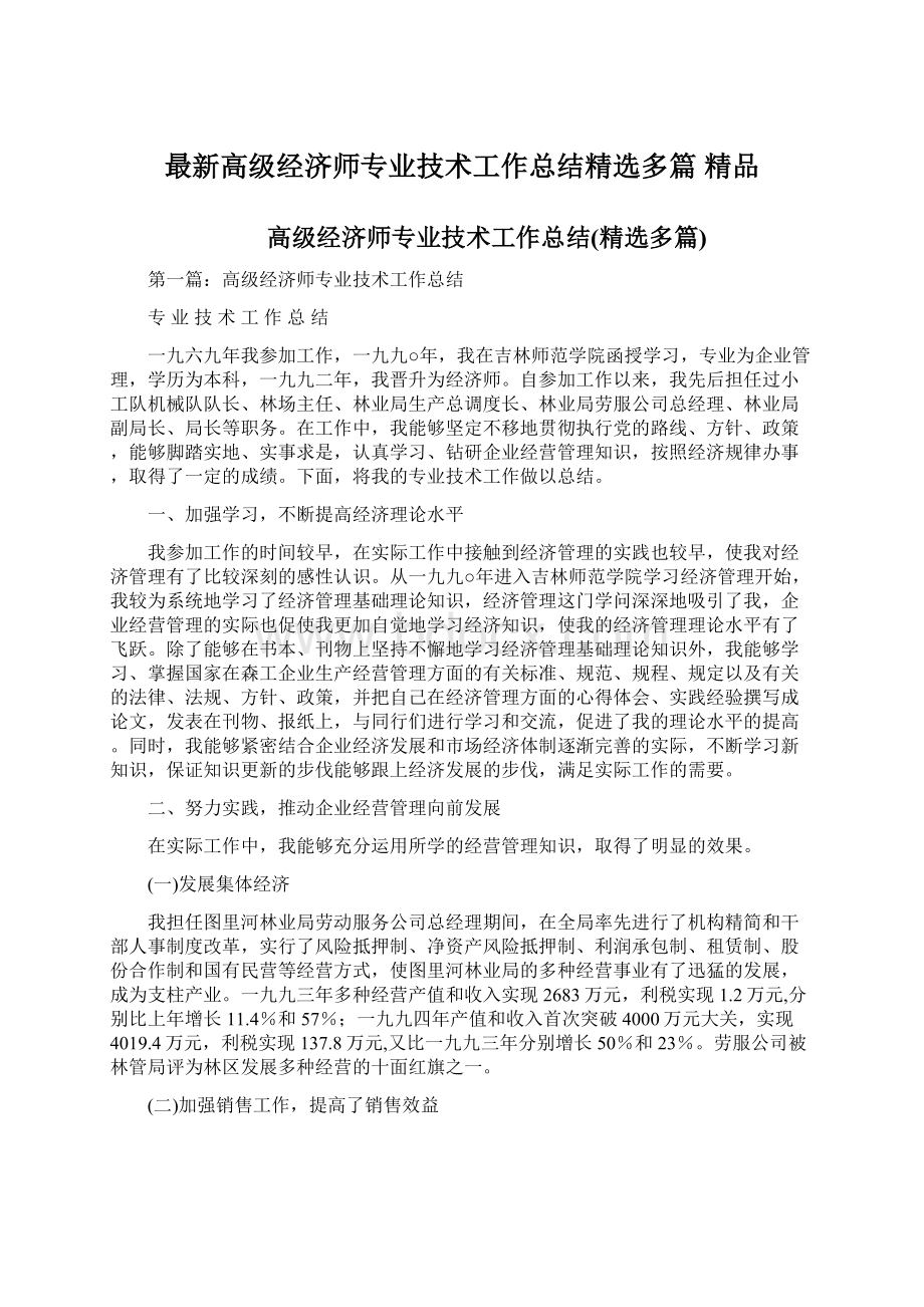 最新高级经济师专业技术工作总结精选多篇 精品Word文档格式.docx