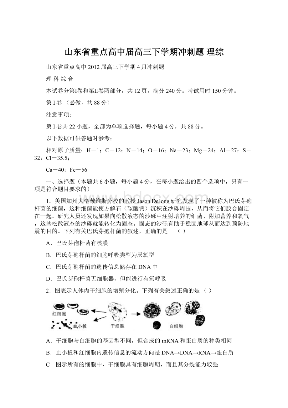 山东省重点高中届高三下学期冲刺题 理综Word文档下载推荐.docx_第1页