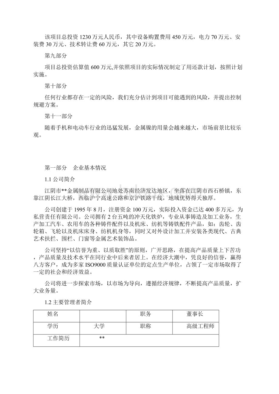 年产1200吨金属镍及2200吨电解铜生产线建设项目可行性研究报告Word文档下载推荐.docx_第2页