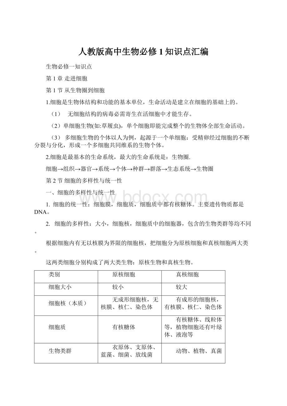 人教版高中生物必修1知识点汇编Word格式.docx