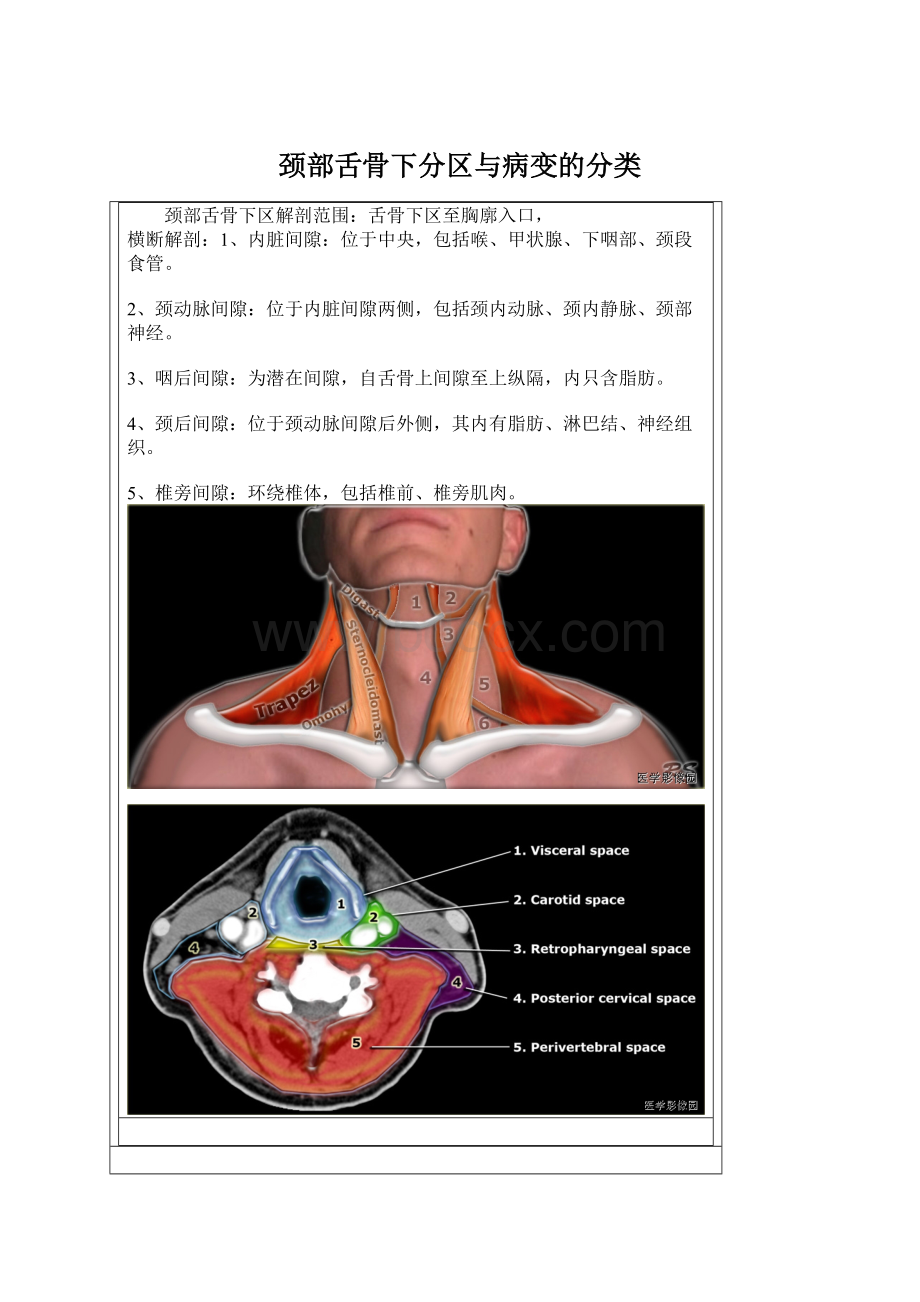 颈部舌骨下分区与病变的分类.docx