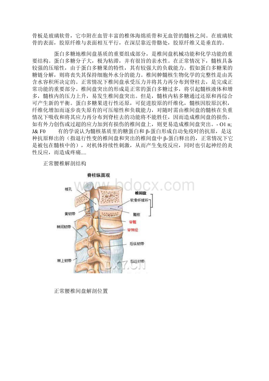 椎间盘突出症详解Word格式.docx_第2页