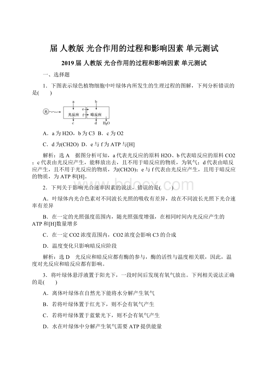 届人教版 光合作用的过程和影响因素 单元测试Word格式文档下载.docx