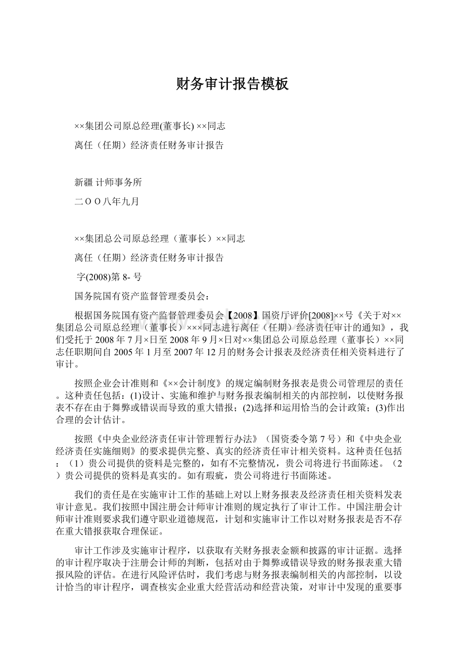 财务审计报告模板Word格式文档下载.docx