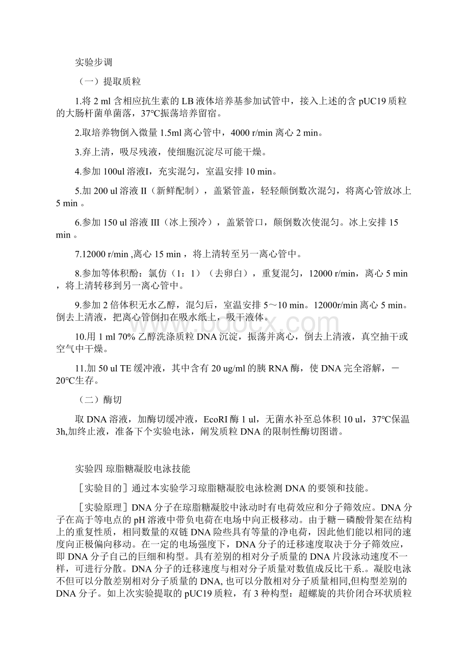 实验一微生物拮抗作用Word格式文档下载.docx_第3页