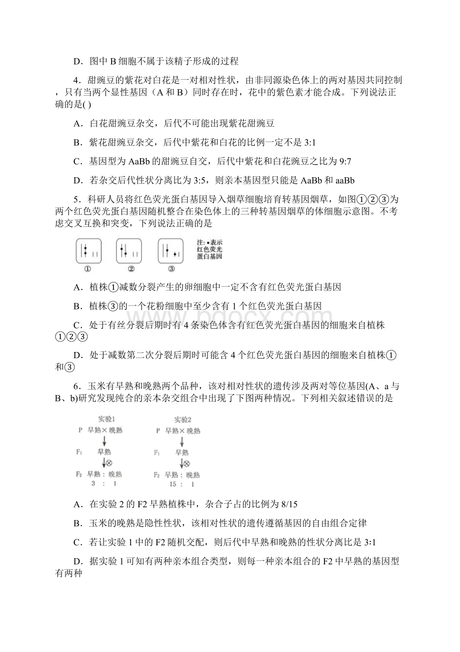 生物必修二检测题B文档格式.docx_第2页