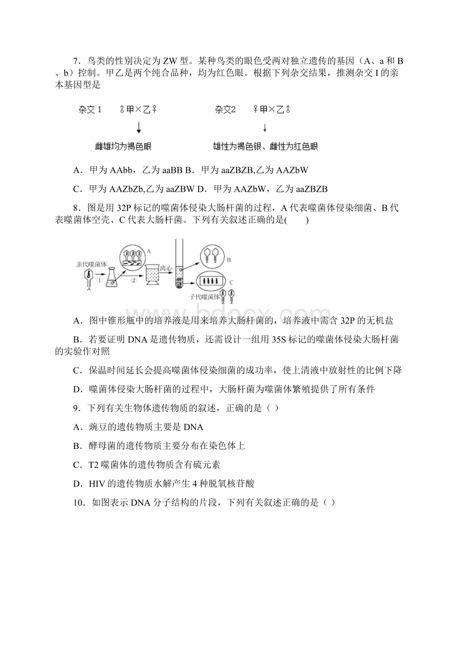 生物必修二检测题B文档格式.docx_第3页