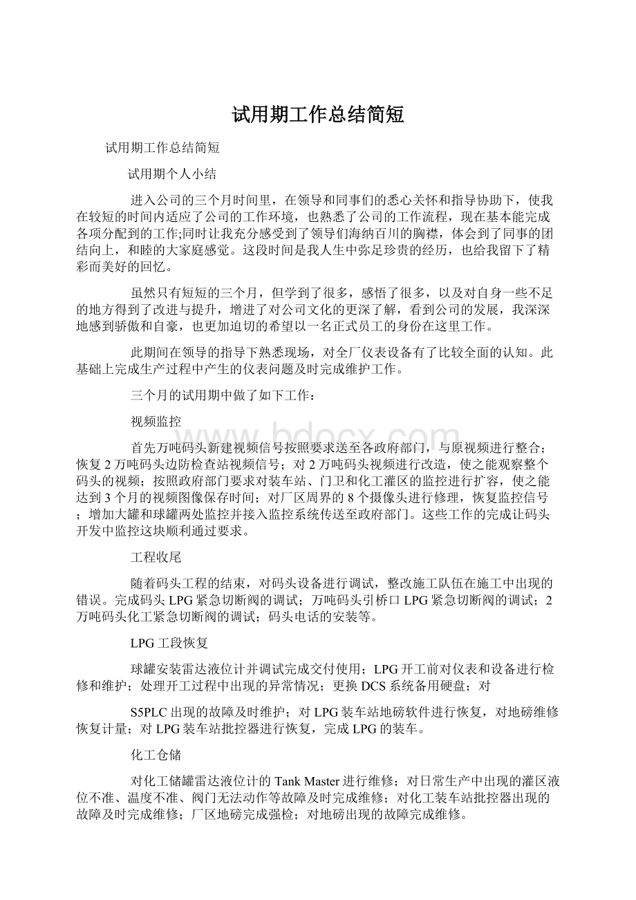 试用期工作总结简短Word文档格式.docx_第1页