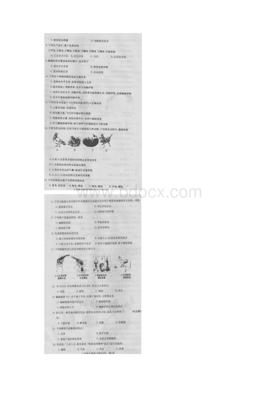 山东省泰安市岱岳区范镇第二中学学年八年级上学期期中考试生物试题扫描版文档格式.docx_第2页