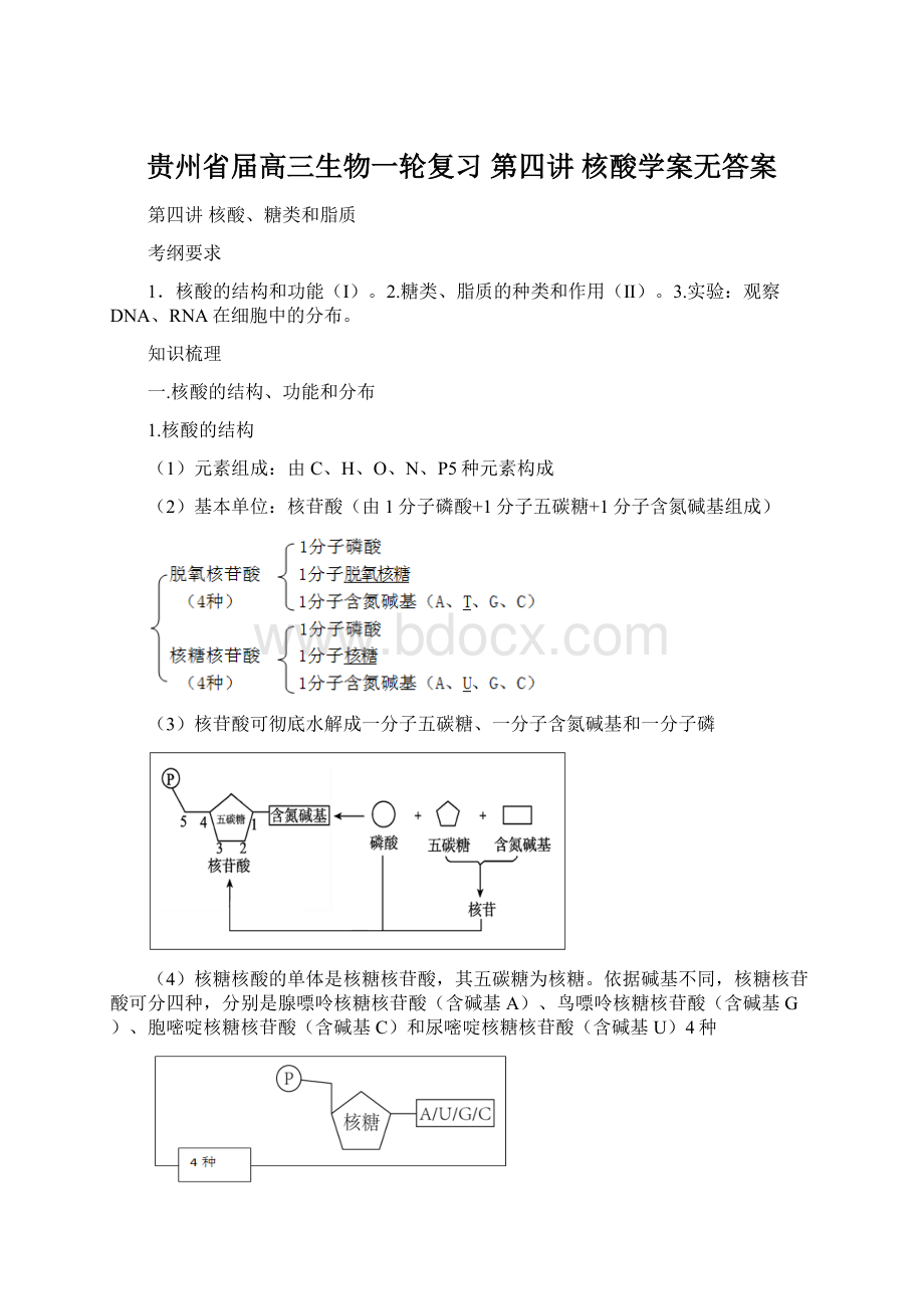 贵州省届高三生物一轮复习 第四讲 核酸学案无答案.docx_第1页