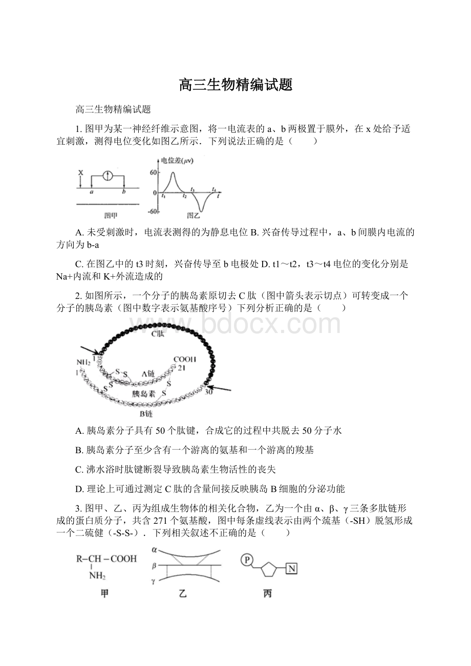 高三生物精编试题Word文件下载.docx