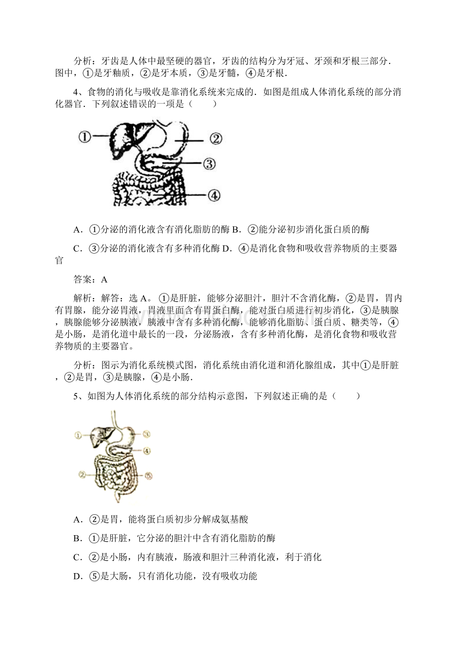 学年七年级生物下册 第四单元 第九章 第二节 人体的消化与吸收同步练习 新版苏教版doc.docx_第2页