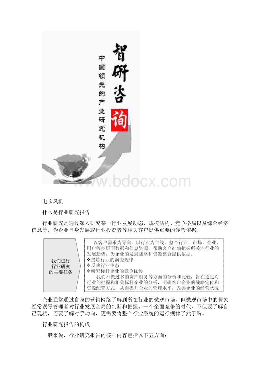 中国电吹风机市场深度分析与投资发展战略研究报告Word文档下载推荐.docx_第2页