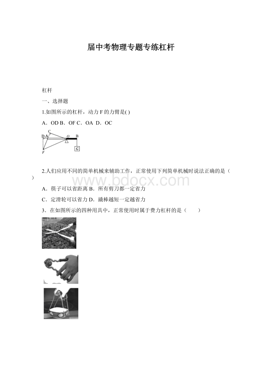 届中考物理专题专练杠杆文档格式.docx_第1页