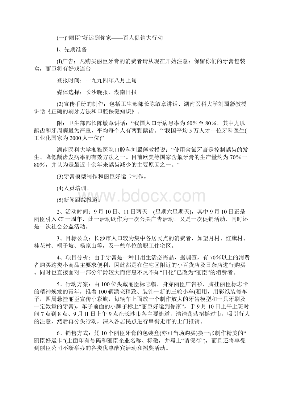 丽臣营销企划案Word格式.docx_第3页