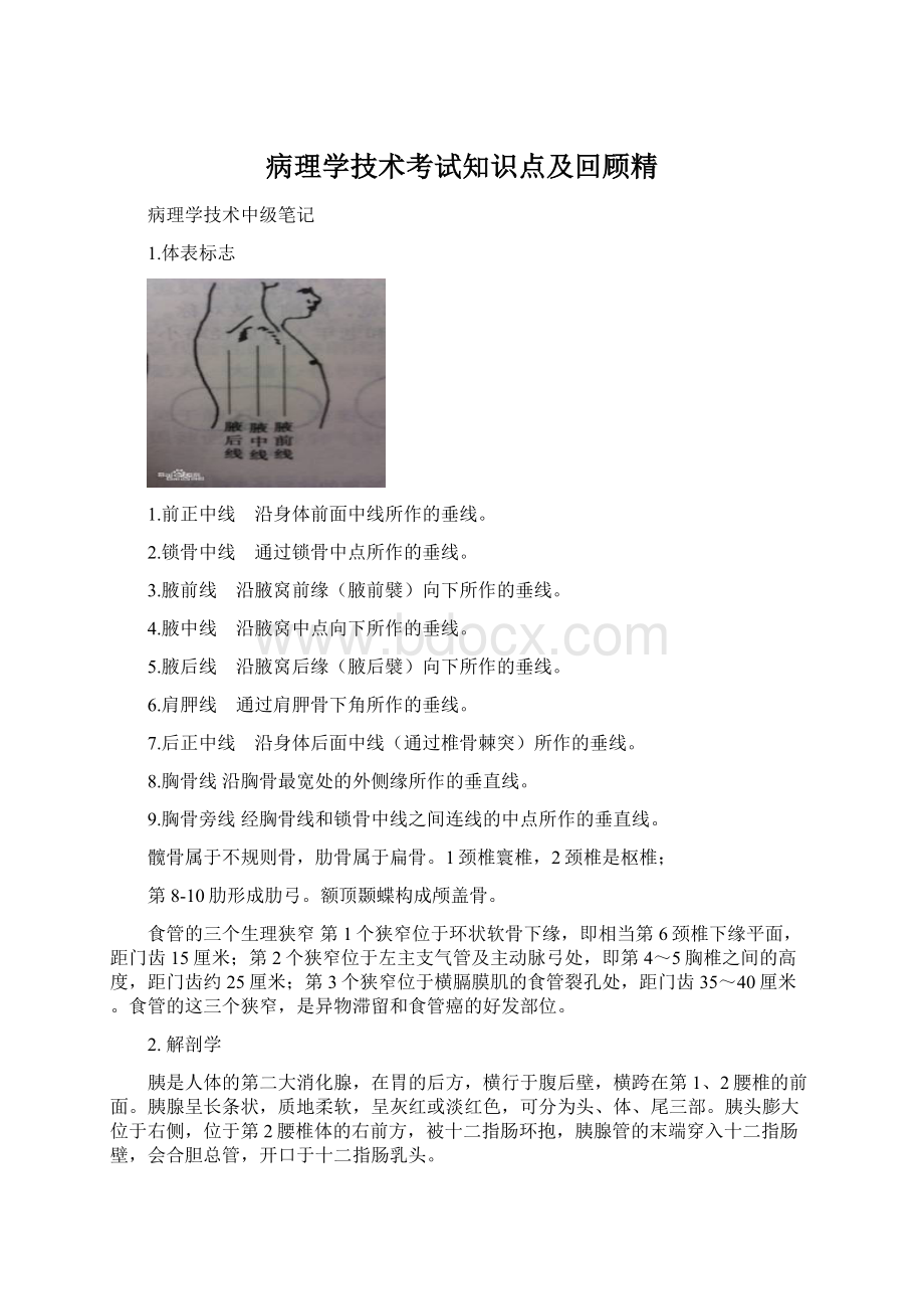 病理学技术考试知识点及回顾精Word文档下载推荐.docx