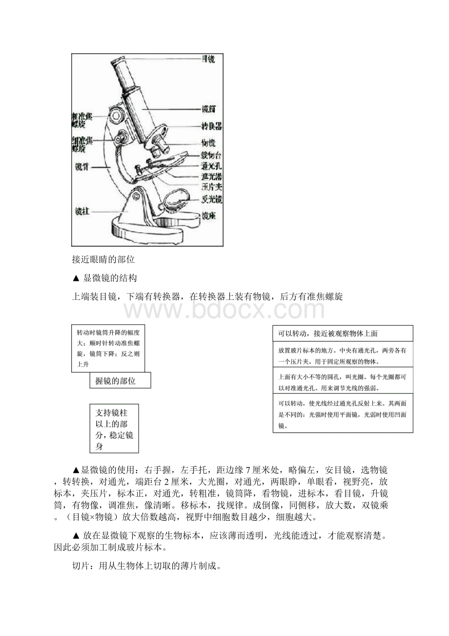 人教版初中生物会考提纲文档格式.docx_第3页