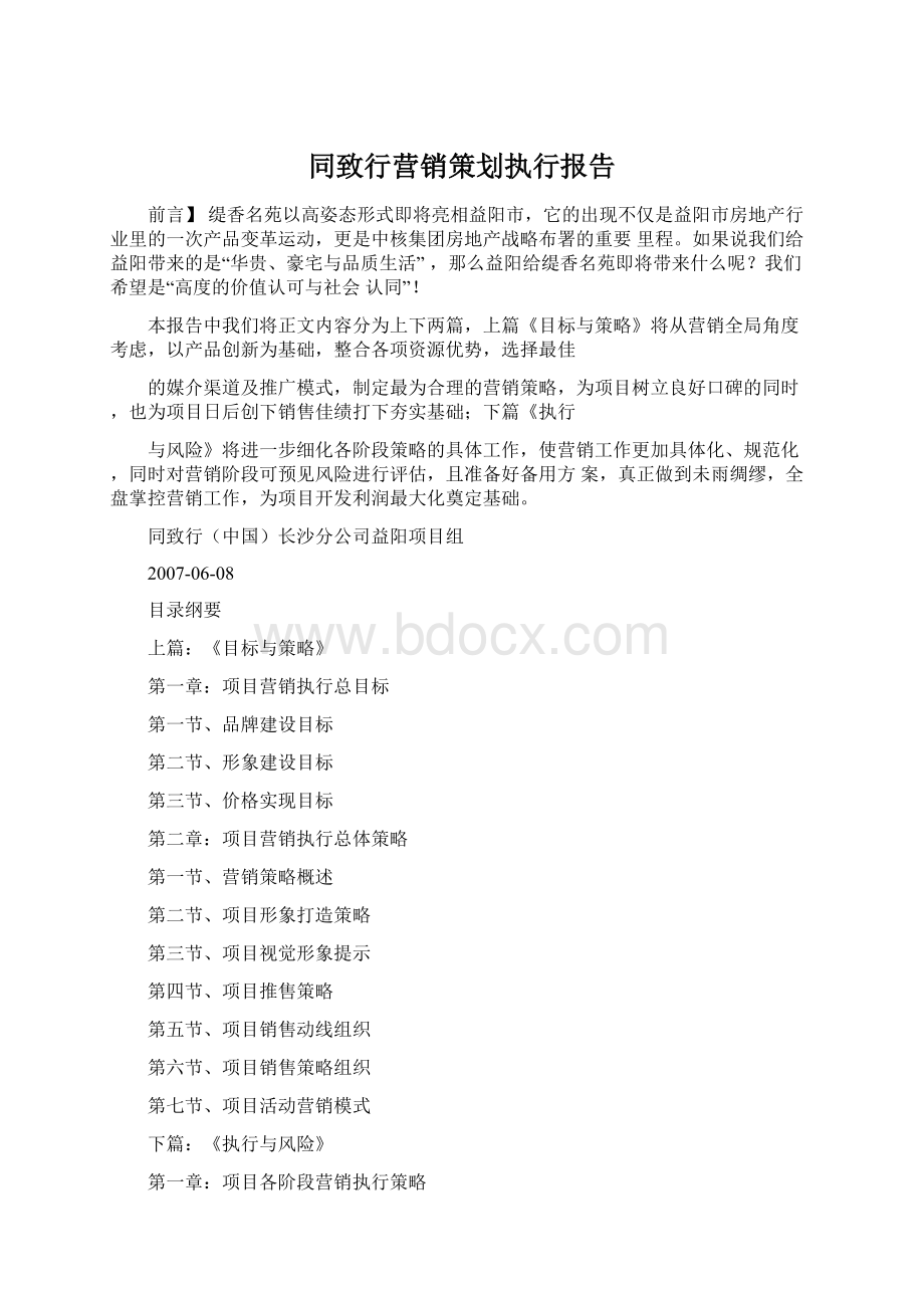 同致行营销策划执行报告Word格式文档下载.docx_第1页