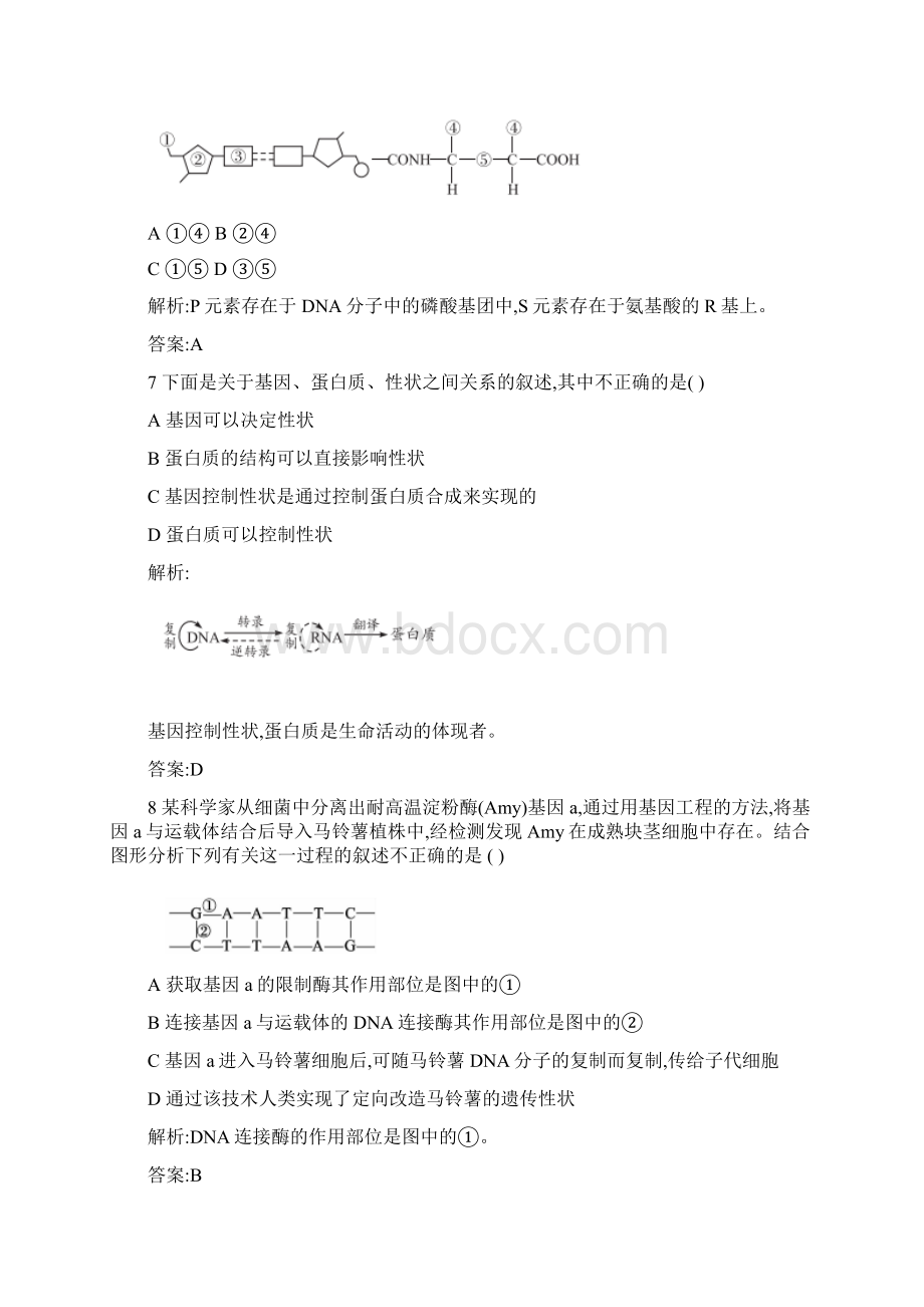 必修2模块期末考试遗传与进化.docx_第3页