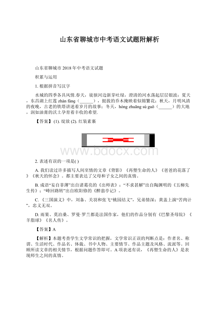 山东省聊城市中考语文试题附解析.docx_第1页